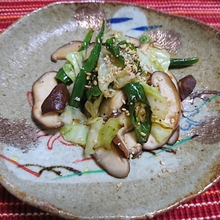 青唐辛子と椎茸とキャベツの炒め物